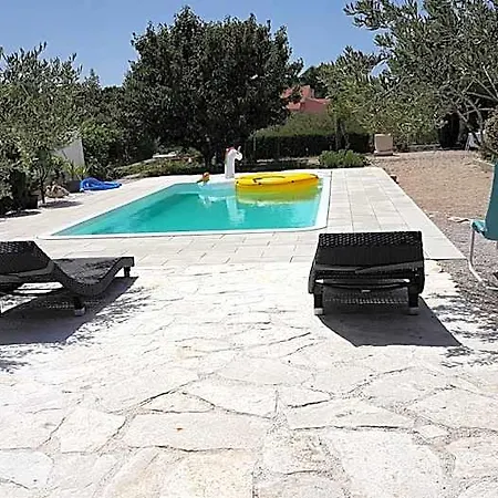 Petrovic فندق